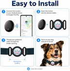 Compact and lightweight GPS tracking collar worn by a small dog breed.