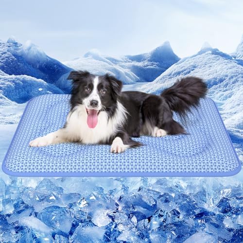 Large Border Collie Dog Resting On Blue Rywell Cooling Pad