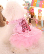MaruPet premium pet apparel stylish lace overlay party outfit