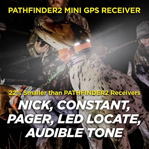 Detailed view of Dogtra Pathfinder 2 contact points
