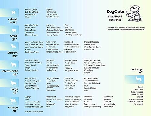 MidWest Homes for Pets hard dog and cat carrier separated into parts demonstrating tool-free assembly