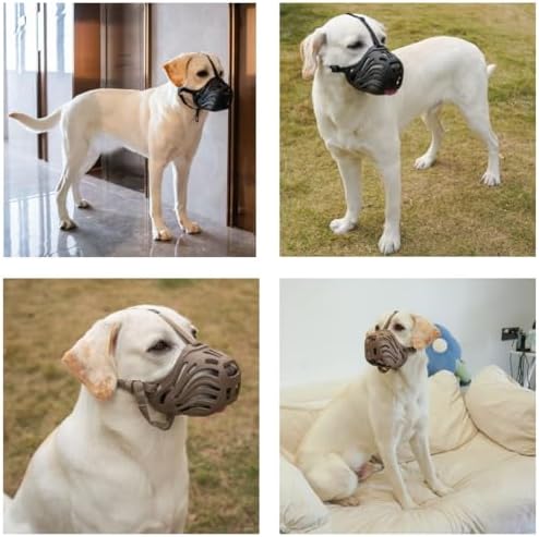 Diketone dog muzzle showing comfortable fit for a large dog