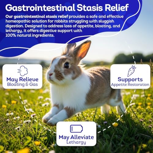 HealthyAnimals4Ever natural digestive support pellets for managing rabbit gastrointestinal stasis