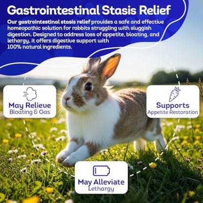 HealthyAnimals4Ever natural digestive support pellets for managing rabbit gastrointestinal stasis