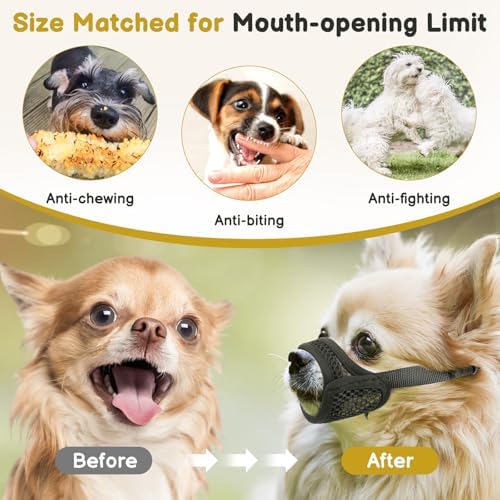 Adjustable strap details of Mayerzon pet muzzle for vet visits