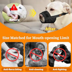 Mayerzon USA imported dog muzzle packaging and sizing instructions for medium and large breeds