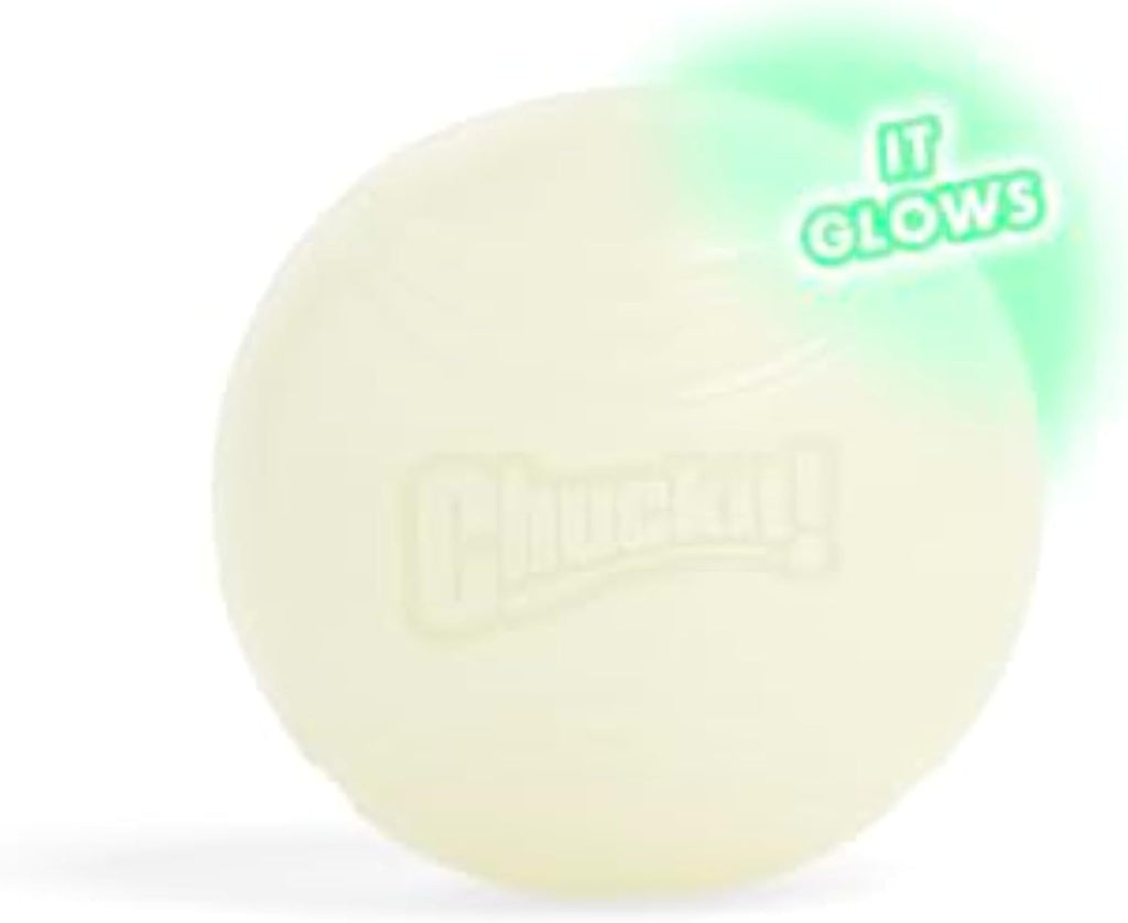 Chuckit! Glow in the Dark Bouncy Balls - Ball for Dogs, Chuckit Dog Toy, Max Glow Balls - Medium, 2.5 Inch Pack of 2 - Image 11
