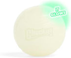 Chuckit! Glow in the Dark Bouncy Balls - Ball for Dogs, Chuckit Dog Toy, Max Glow Balls - Medium, 2.5 Inch Pack of 2 - Image 11