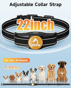 Patpet dog training collar set for medium large dogs