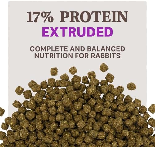 Close-up of Blue Seal extruded rabbit food pellets showing texture and shape.