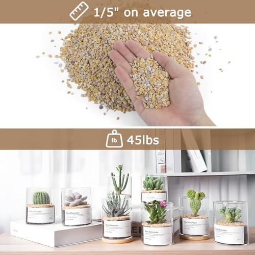 Aquarium filled with Mulctun natural yellow pea gravel