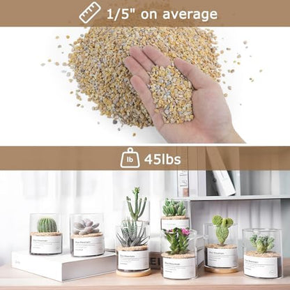 Aquarium filled with Mulctun natural yellow pea gravel