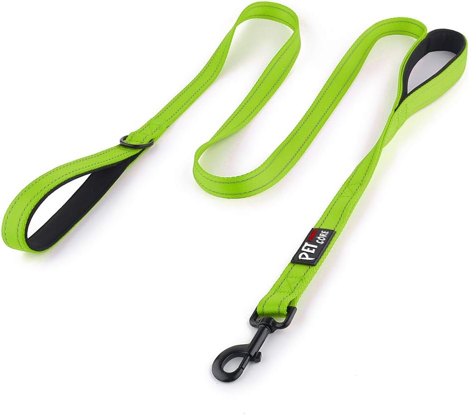 Plutus Pet Double Handle Dog Leash 6ft Long, Padded 2 Handle, Heavy Duty, Reflective Training Leash for Medium Large Dogs, Dual Handle Lead (Pink) - Image 10