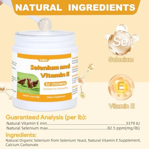 Backyard chickens and ducks receiving Ourea health supplement