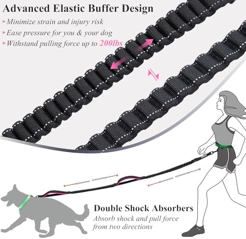 Close up of Vivaglory anti shock bungee for dog leash