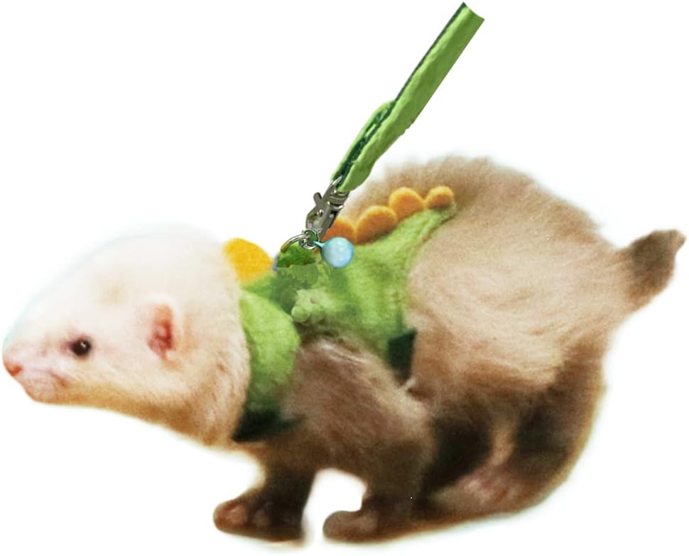 Anelekor dinosaur ferret harness and leash set front view