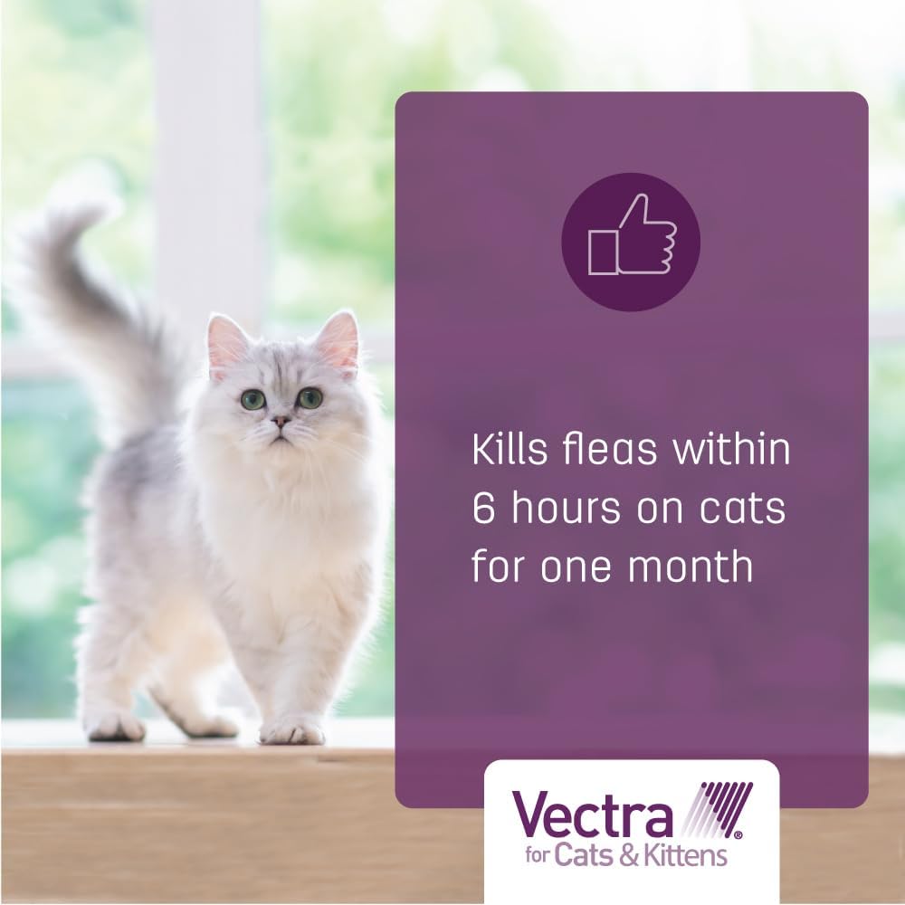 Vectra flea control applicator tubes close up for large cats