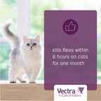 Vectra flea control applicator tubes close up for large cats