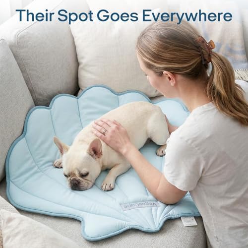 Vagascape leaf shape pet cushion styled elegantly on a living room floor