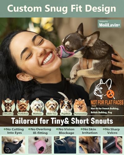 Side profile of short snout dog muzzle for Chihuahua