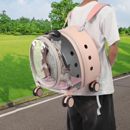 Back view of pink transparent pet trolley case with extended telescopic handle