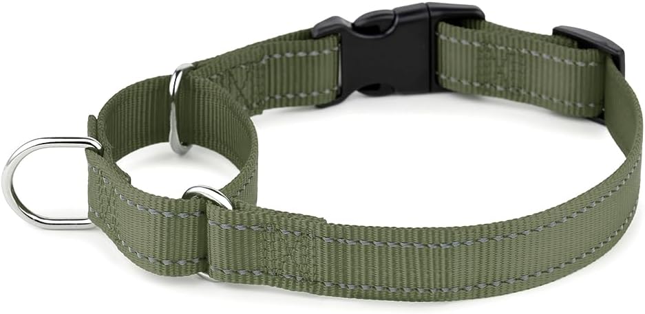Premium imported PLUTUS PET no slip pet collar with quick release locking mechanism