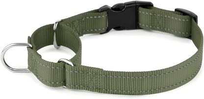 Premium imported PLUTUS PET no slip pet collar with quick release locking mechanism