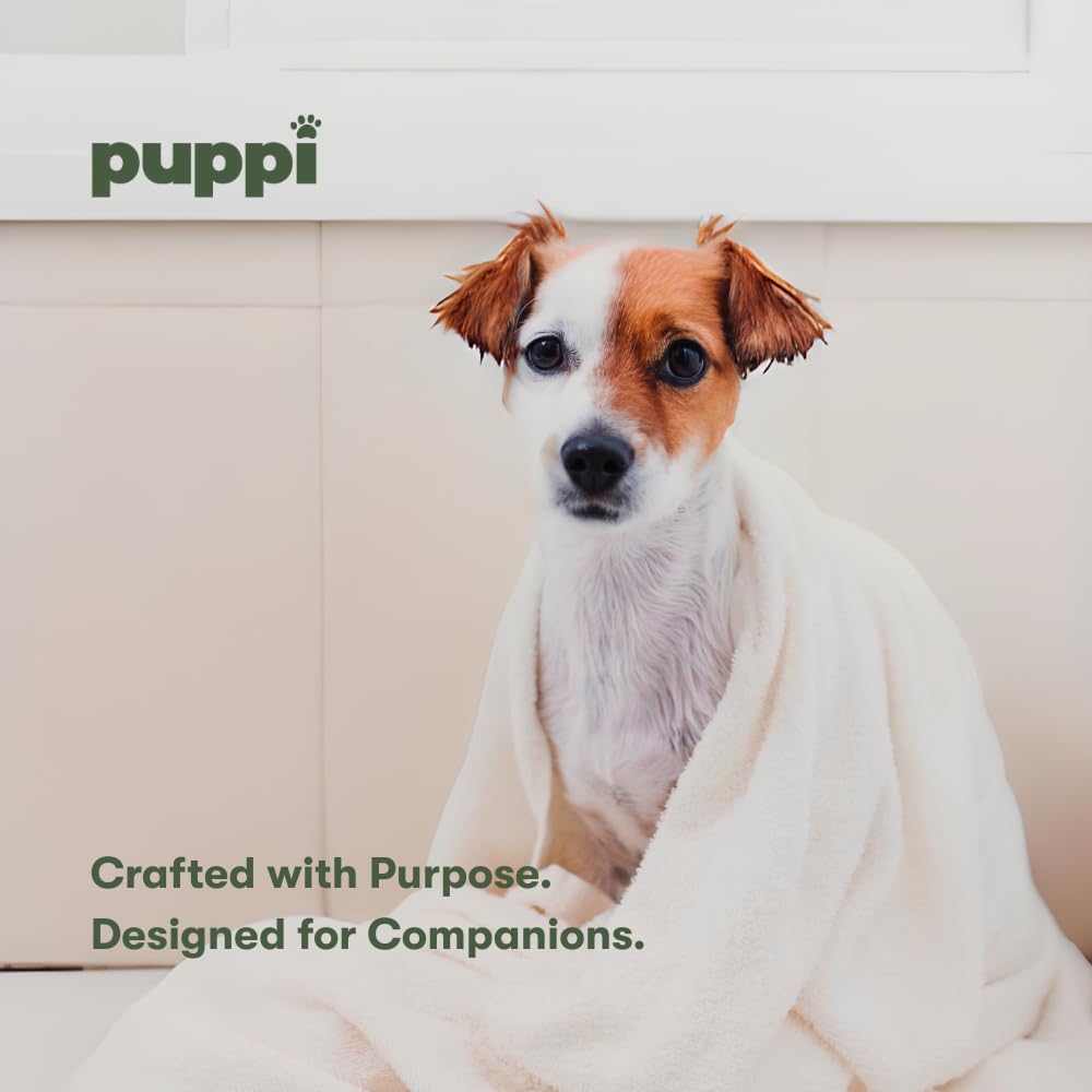 Authentic imported luxury pet care shampoo for Indian pet parents
