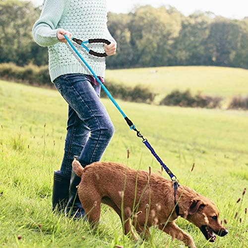 Bungee leash extension used for jogging with a dog