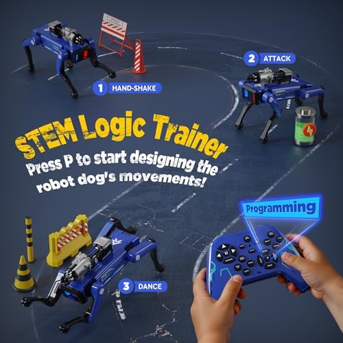 Child using remote control with Tueesn robot dog