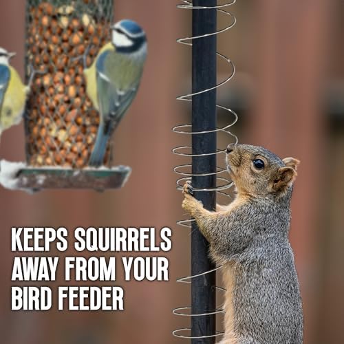 Playbees silver metal slinky coils wrapped around a bird feeder pole as a squirrel guard