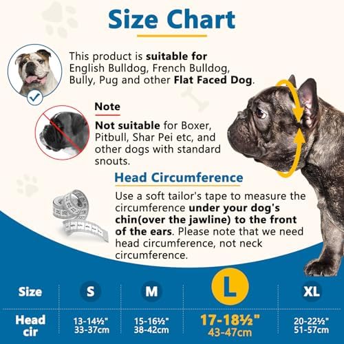 Barkless silicone basket muzzle on a French Bulldog showing breathing holes
