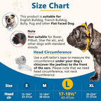 Barkless silicone basket muzzle on a French Bulldog showing breathing holes