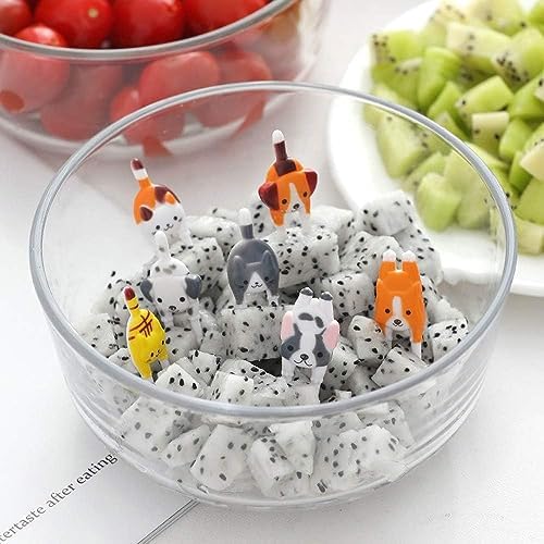 Kids lunch box decorated with Tustao animal food forks