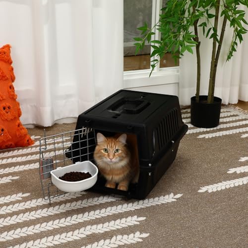 Top view of Locmeo plastic pet carrier with carry handle