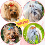 Colorful hair bow accessories for small puppy breeds