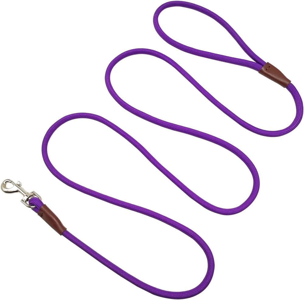 Small Dog Leash, 1/4" by 6/8/10 FT Lightweight Strong Nylon Rope Leash, Bright Classic Lead for Small Pets/Puppy (6ft, Black) - Image 11