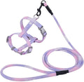Semeb gradient purple cat harness and leash set front view