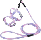 Semeb gradient purple cat harness and leash set front view