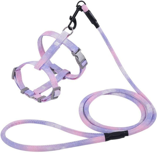 Semeb gradient purple cat harness and leash set front view
