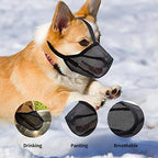 Miavers anti barking dog muzzle showing secure buckle closure close up