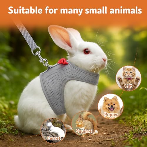 Prasacco ferret harness back view featuring reinforced metal alloy leash attachment loop on grey mesh fabric