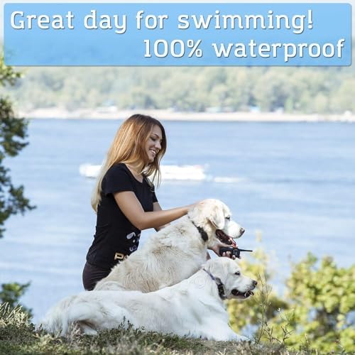 Waterproof receiver collar for PetSpy P620 system