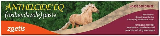 Anthelcide Equine Paste 24 gram horse dewormer syringe front view
