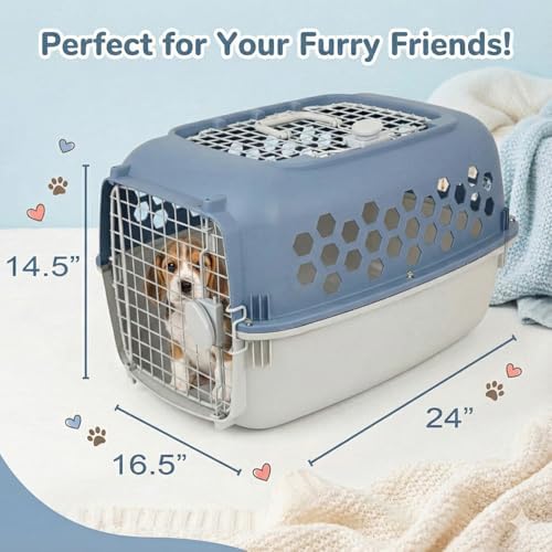 Blue and white plastic pet crate illustrating 360 degree ventilation grates