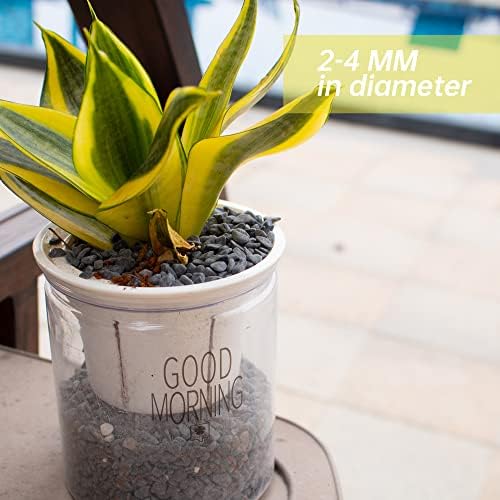 Anothera river rocks used as top dressing for succulent plants