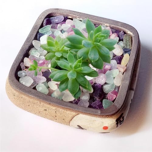 Fluorite gravel as vase filler for home decor