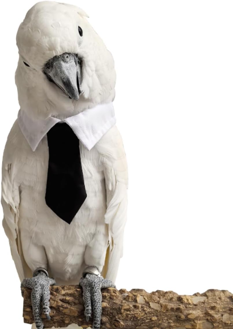 Lightweight breathable bird collar costume prop details on soft cotton fabric