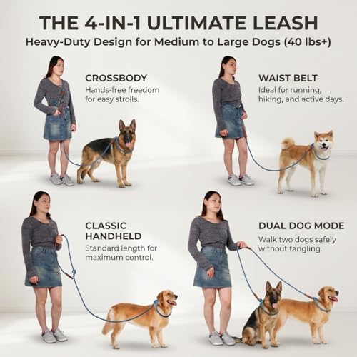 Tails And Tales dual handle dog leash highlighting the premium brown leather accents.