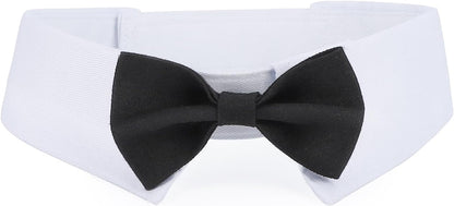 Segarty tuxedo dog bow tie front view for extra large dogs